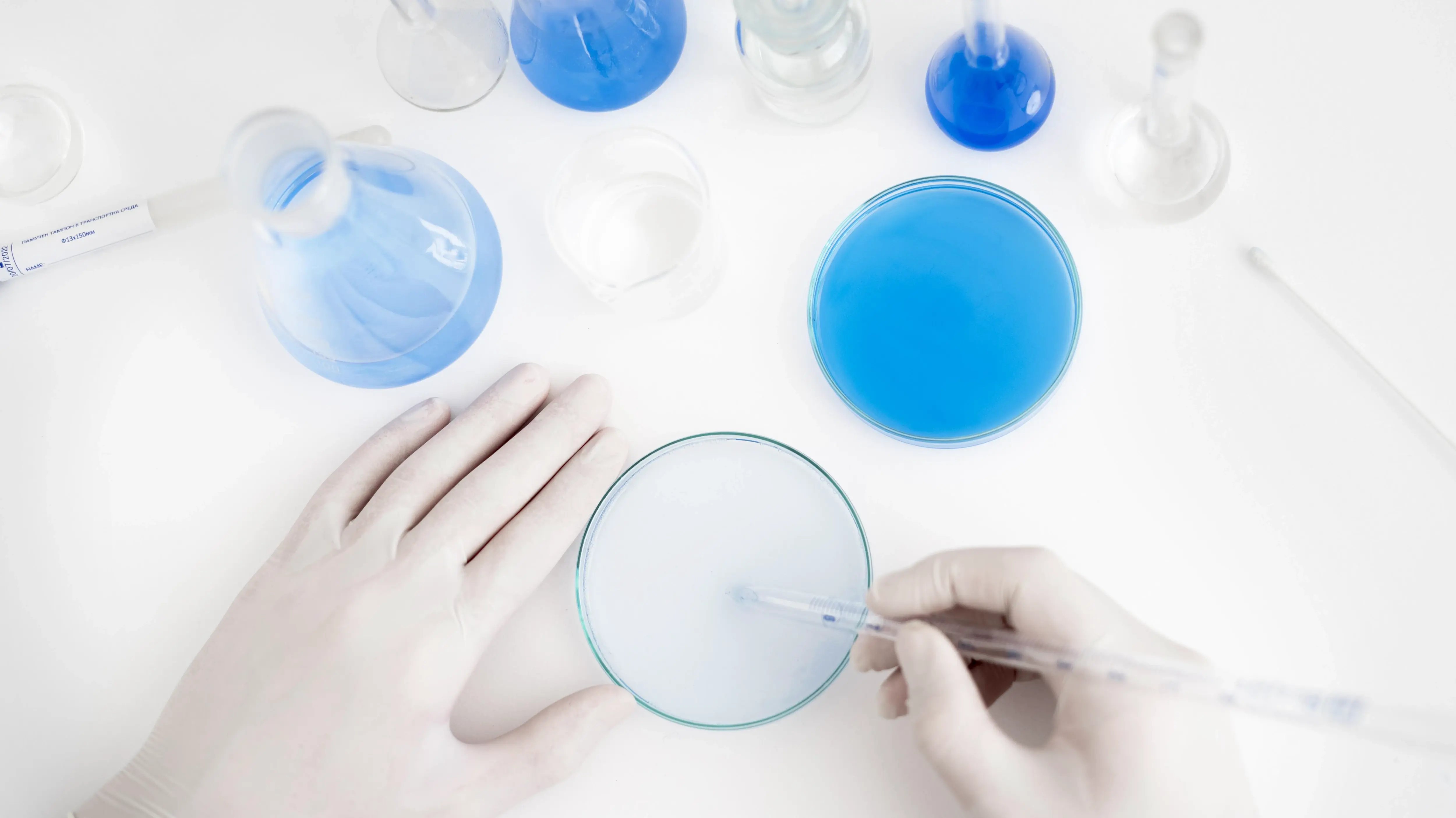 Laborarbeit mit Pipette und Petrischale